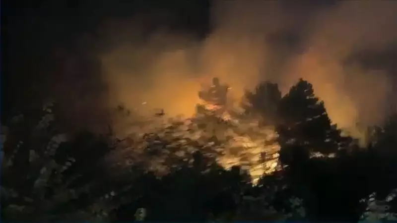 Beykoz Ormanlarında Alevlerle Mücadele: Yangın Kontrol Altına Alındı!