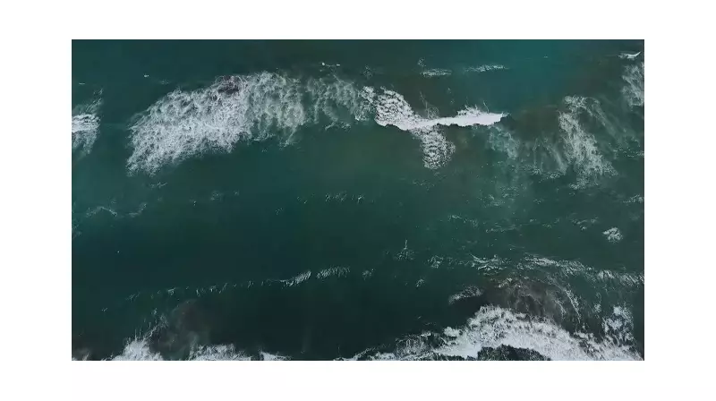 Beykoz Sahillerinde Yüzme Yasak! İşte Nedeni ve Detaylar