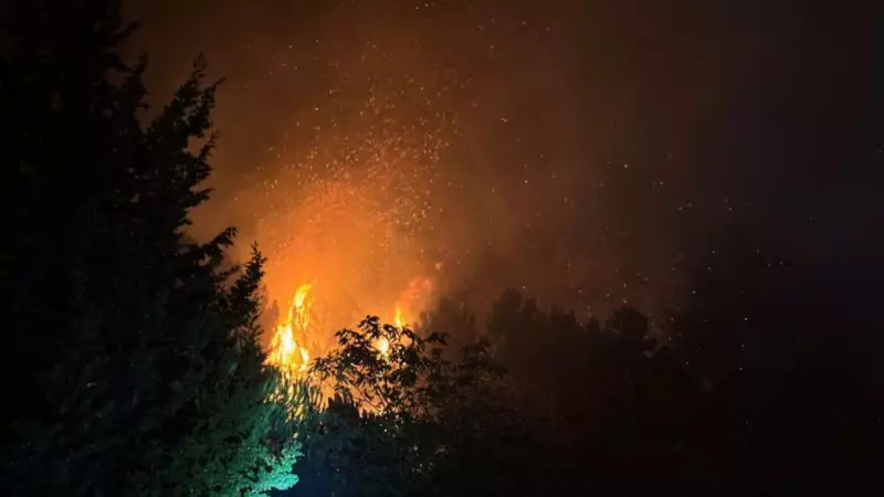 Beykoz'da Ciğerleri Dağlayan Orman Yangını! İs Kokusu Şehre Yayıldı