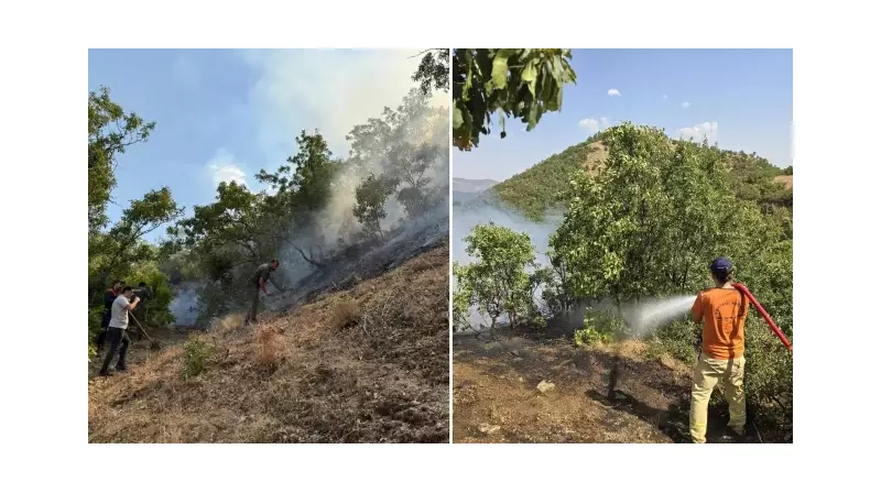 Bingöl'de Orman Yangını: Alevlerle Mücadele Tüm Hızıyla Devam Ediyor!