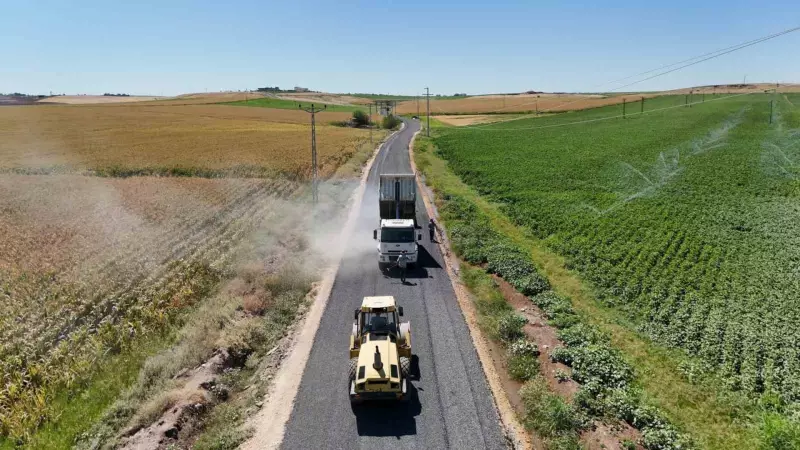 Bismil Nerede? Bu Şaşırtıcı İlçenin Bilinmeyen Özellikleri ve Konumu