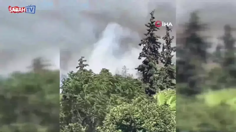 Bodrum'da Orman Yangını: Alevler Gökyüzünü Kızıla Boyadı! İşte Son Dakika Gelişmeleri