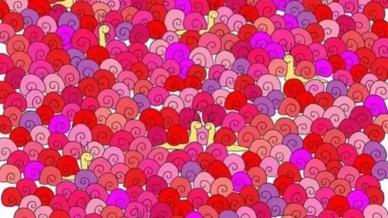 Bu Gizli Kalbi Görmekte Zorlanacaksınız! Salyangozların Arasında Saklı Şekli Bulan Yüzde 1'lik Kesimden Misiniz?