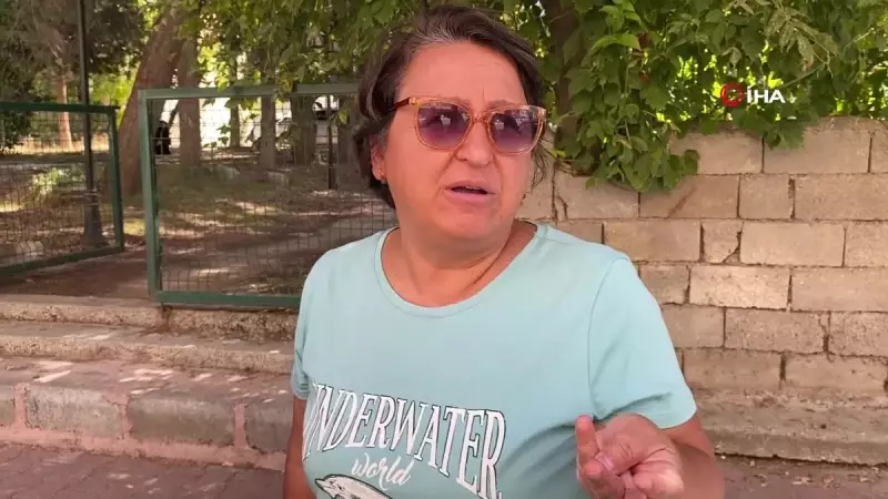 Burdur'da Sokak Köpeklerinin Saldırısından Son Anda Kurtulan Kadın: 'Yardım Gelmeseydi Ölmüştüm'