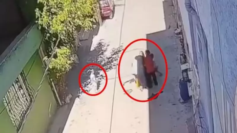 Bursa'da Dehşet Saçan Kadından Kadına Şiddet: Kucağında Bebekle Saldırı!