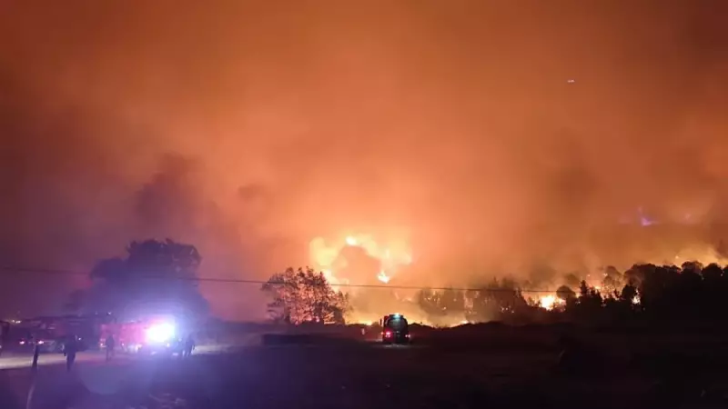 Bursa'da Hızla Yayılan Orman Yangını: İtfaiye Gece Boyunca Mücadele Etti!