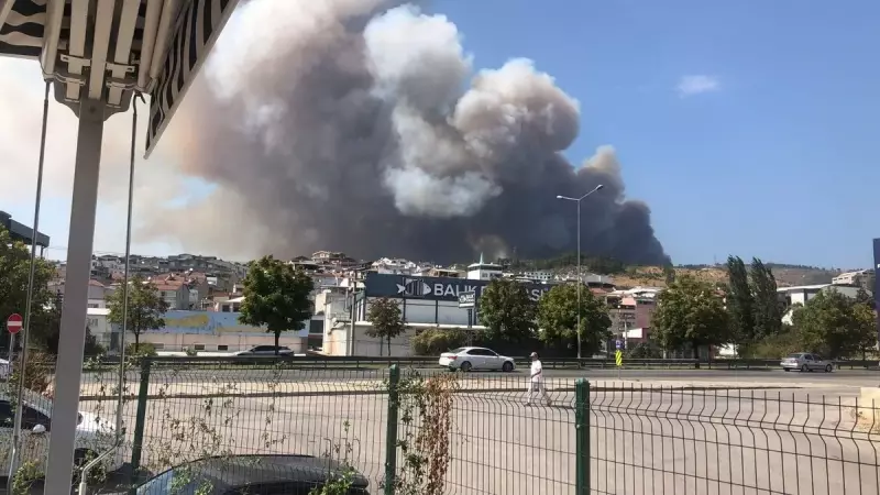 Bursa'da Orman Yangını: Alevler Kısa Sürede Kontrol Altına Alındı!