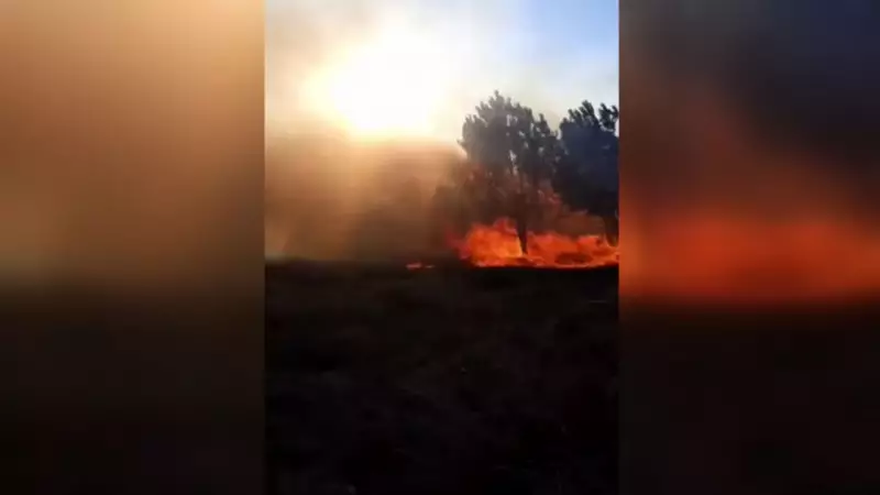 Bursa'da Orman Yangını: İlk Müdahale ve Soğutma Çalışmaları Sürüyor!