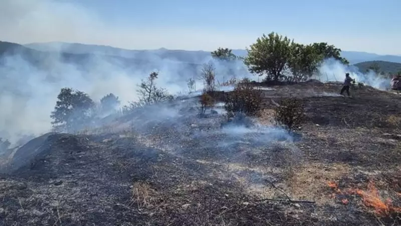 Bursa'nın Ciğerini Yakan Orman Yangını Son Anda Kontrol Altına Alındı!