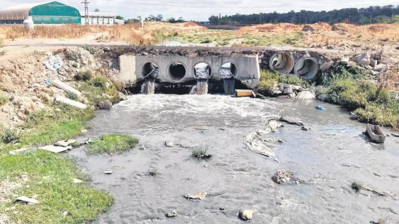 Deniz Canavarı Gemisi Marmara'da Çevre Felaketine Yol Açtı: Korkunç Görüntüler!