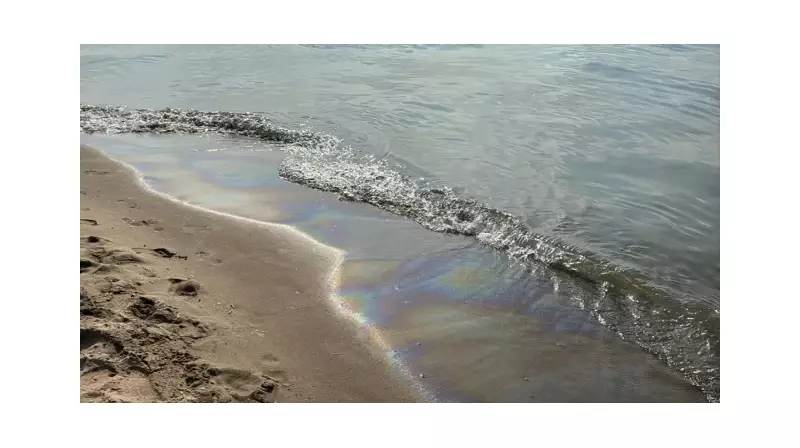 Deniz Katili Gemiye Dev Cezal! 11 Milyon TL Fatura Kesildi