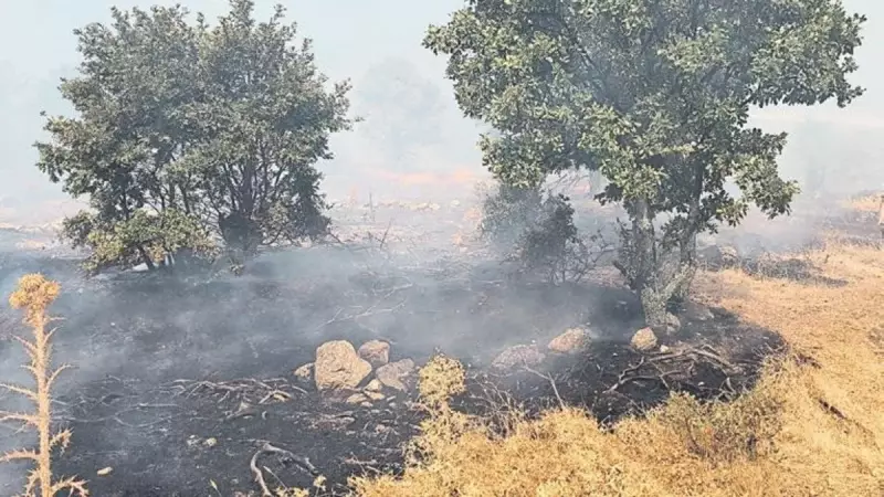 Denizli'de Başlayan Orman Yangını Aydın'a Sıçradı! Acil Müdahale Devam Ediyor