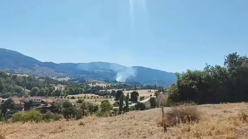 Denizli'deki Orman Yangınında Kritik Müdahale: Alevler Kontrol Altında!