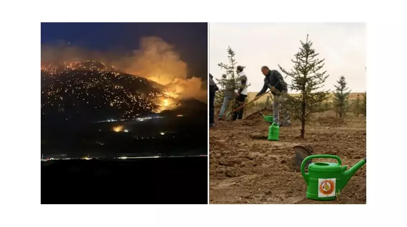 Denizli'deki Yangın Yarasına 2.5 Milyon Fidanlık Yeşil Terapi!