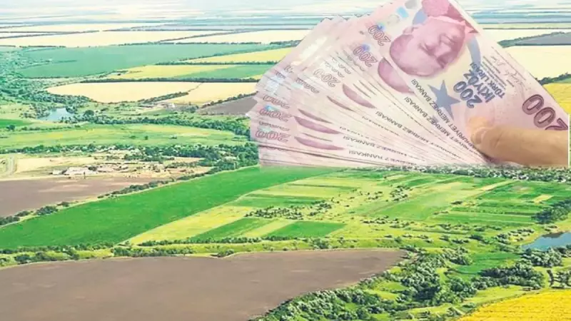 Devletten Tarıma Destek: 300 Bin Dekar Atıl Arazi Kiraya Veriliyor!