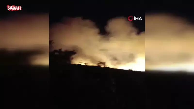 Diyarbakır'da Orman Yangını: Alevlere Havadan ve Karadan Büyük Mücadele!