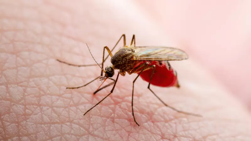 Doğanın Gizemli Sırları: Hayvanlar Aleminin Şaşırtıcı 10 Özelliği!