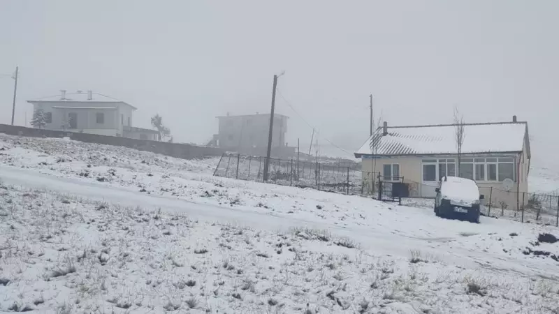 Doğu Karadeniz'de Kar Kalitesi! Yüksek Kesimler Beyaza Büründü - Yoğun Kar Yağışı Hayatı Etkiliyor