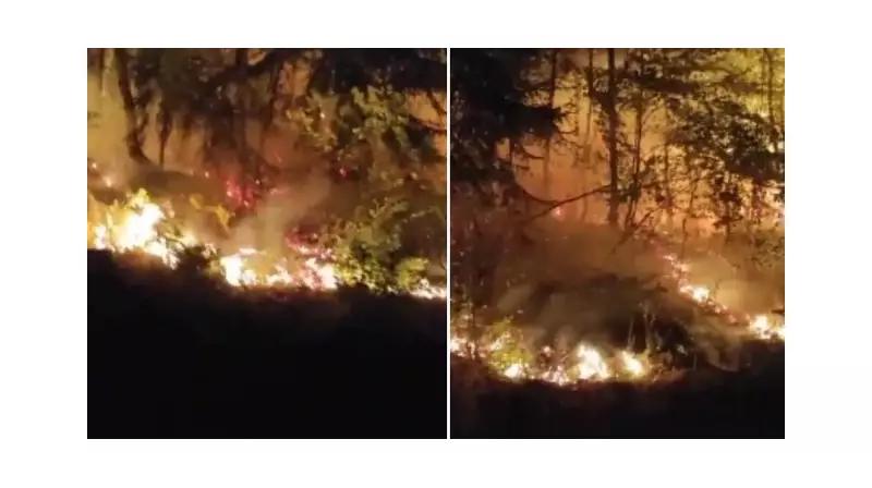 Düzce'de Orman Yangını: İki Saatlik İnsanüstü Mücadele ile Felaketin Eşiğinden Dönüldü!