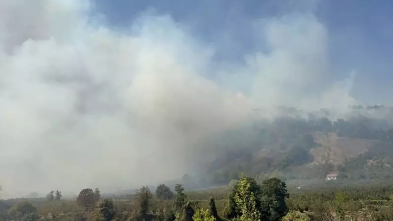 Düzce'deki Orman Yangınında Kritik Müdahale: Alevler Kontrol Altında!