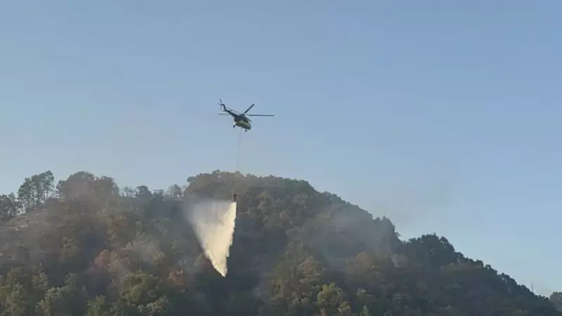 Düzce'deki Orman Yangınında Son Durum: Alevler Kısmen Kontrol Altında!