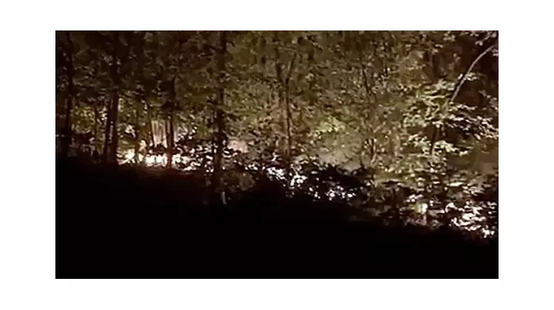 Düzce'deki Orman Yangınında Son Durum: Alevler Tamamen Kontrol Altında!