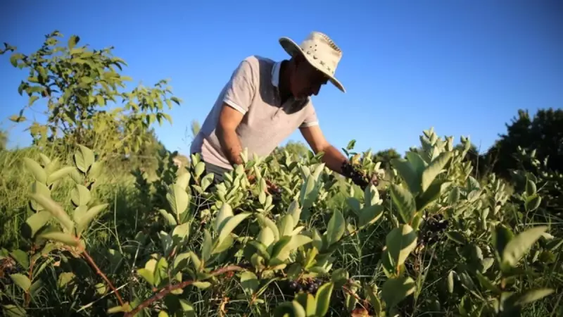Eşini Kansere Kaybettikten Sonra Yaşadığı! İlaç Bulamama Acısını Kendi Üreterek Dindiriyor