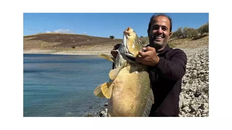 Elazığ'da Dev Sazan Avı! Amatör Balıkçıdan 21 Kiloluk Rekor