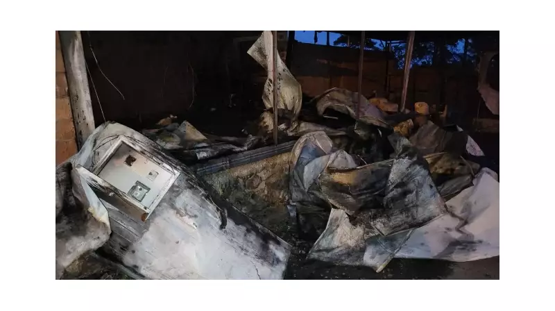 Elektrik Akımına Kapılan 6 Büyükbaş Hayvan Can Verdi: Çiftçinin Kara Günü