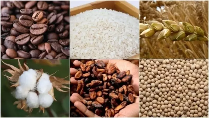 Emtia Piyasalarında İstihdam Şoku: Altın ve Petrol Fiyatlarındaki Dans