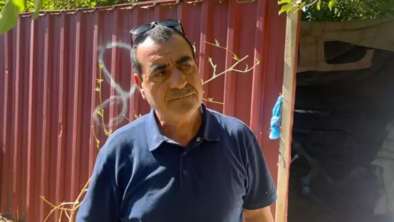 Erzincan'da Sokak Köpeği Dehşeti: 6 Kuzu Telef Oldu! Çiftçinin Gece Yarısı Çığlığı