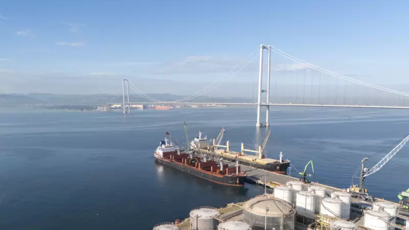 Gebze Nerede, Hangi Şehre Bağlı? İşte Bu Önemli İlçenin İlginç Hikayesi!