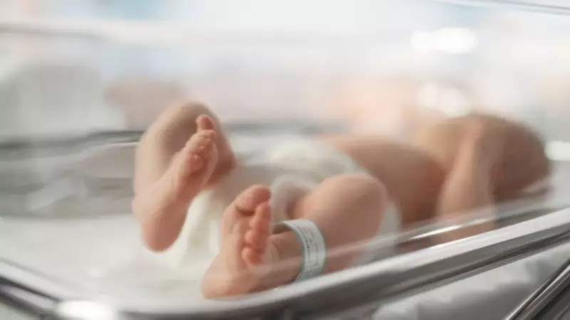 Geçmeyen Öksürüğünüz Varsa Dikkat! Türkiye'de Her 3 Bin Doğumdan Birinde Görülen Hastalığın İlk İşareti Olabilir