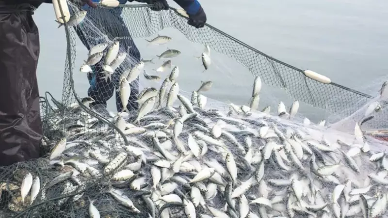Gripten Korunmanın Lezzetli Sırrı: Haftada 2 Porsiyon Balık Tüketin!