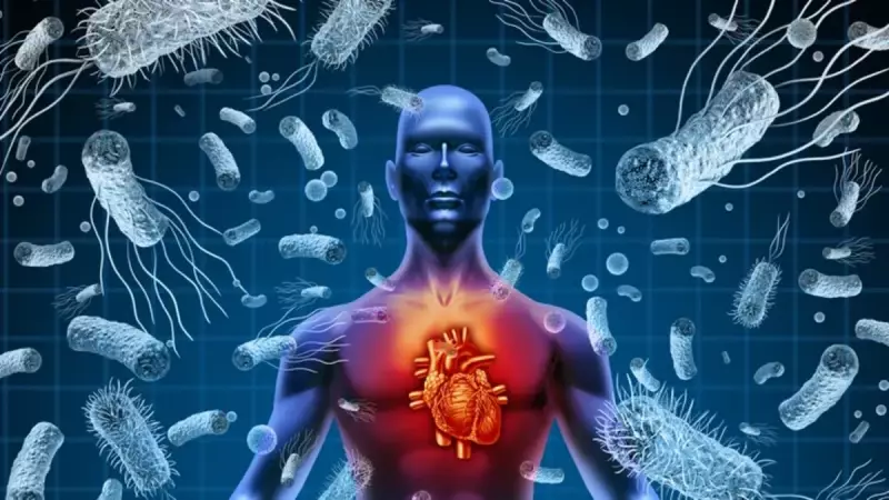 Her 5 Ölümden 1'inin Sorumlusu! Uzmanlar O Konuda Uyardı: 'Direncini Artırmayın'