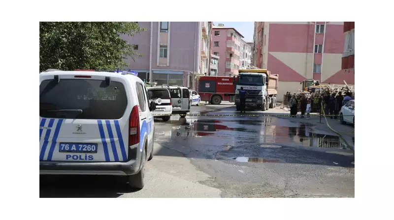 Iğdır'da Feci Kaza: Kamyonun Çarptığı Yaşlı Kadın Ağır Yaralandı!