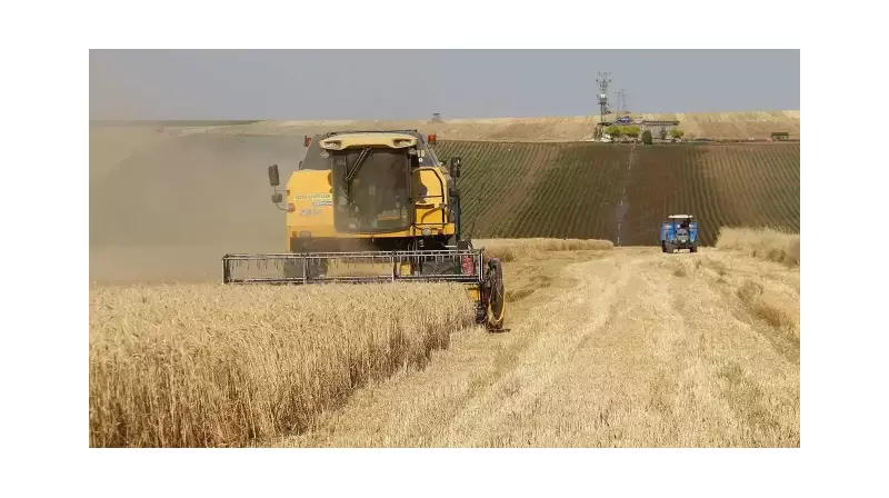 Çiftçilere Müjde! 274 Milyon TL Destek Ödemeleri Bugün Hesaplarda