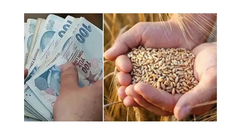 Çiftçinin Yüzünü Güldüren Hamle! 3,6 Milyar TL Destek Hesaplara Aktarıldı