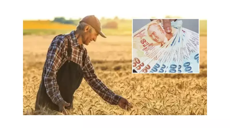 Çiftçiye Müjde! Destek Ödemeleri Hesaplarda - İşte Detaylar