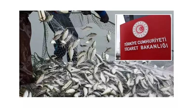 Kanada'daki Türk Su Ürünleri Kısıtlaması Kalktı! İhracatta Yeşil Işık Yanarken...