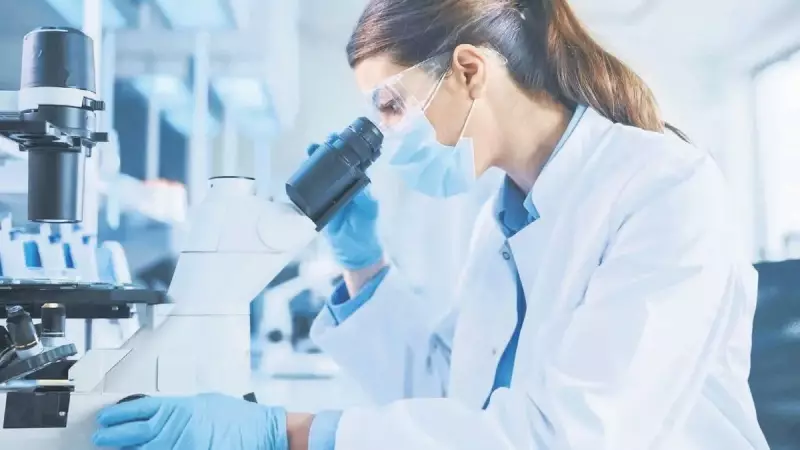 Kanser Tedavisinde Devrim Yaratacak Yeni Buluşlar! İşte Tıp Dünyasını Sarsan Gelişmeler