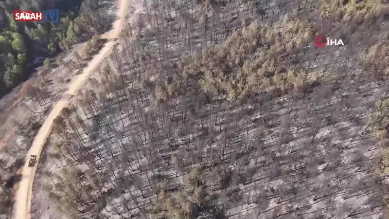 Karabük Orman Yangını: Ciğerleri Yakan Manzara ve Mücadele Saatleri