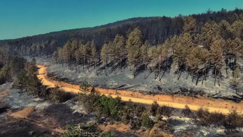 Karabük Ormanları Alev Alev! Soğutma Çalışmaları Gece Boyu Sürdü - Geriye Kül ve Hüzün Kaldı
