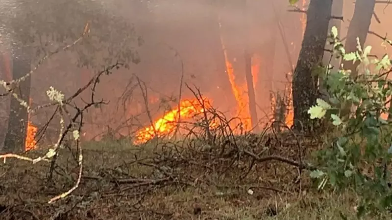 Karabük'teki Ot Yangını Ormanlık Alana Sıçradı: Havadan ve Karadan Yoğun Mücadele!
