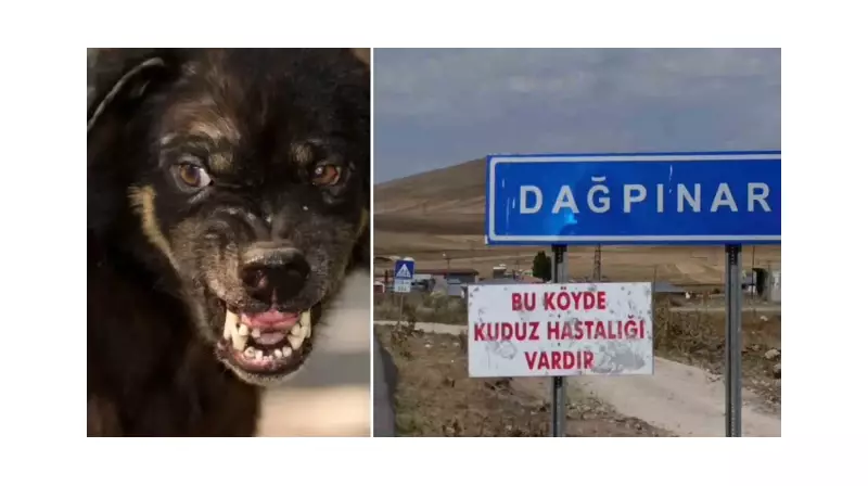 Kars'ta Kuduz Alarmı! Bir Belde Karantinaya Alındı - Detaylar Burada