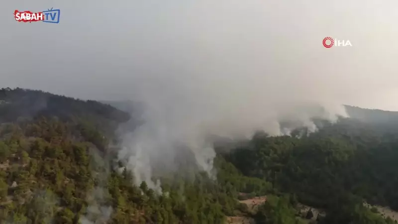 Kastamonu Orman Yangını: Alevlere Havadan ve Karadan Destansı Mücadele!