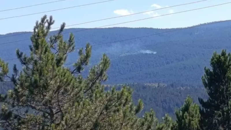 Kastamonu'da Ciğerleri Yakan Yangın Felaketi Son Buldu: İşte O Anlar ve Mücadele Detayları