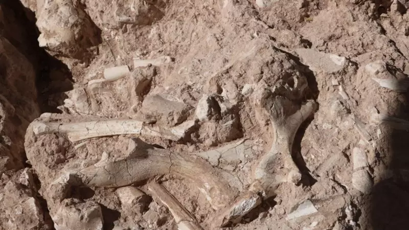 Kayseri'de Bilim Dünyasını Sarsan Keşif: Yepyeni Bir Tür Bulundu!