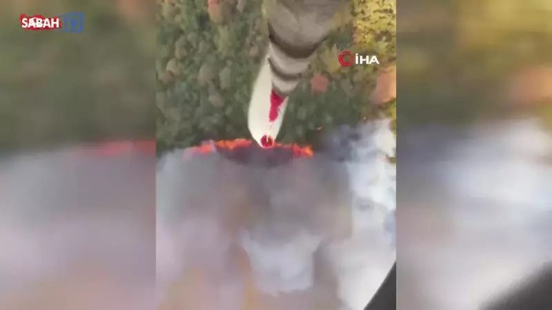 Kepsut'ta Ormanları Alev Aldı! Rüzgarın Etkisiyle Yangın Hızla Yayılıyor