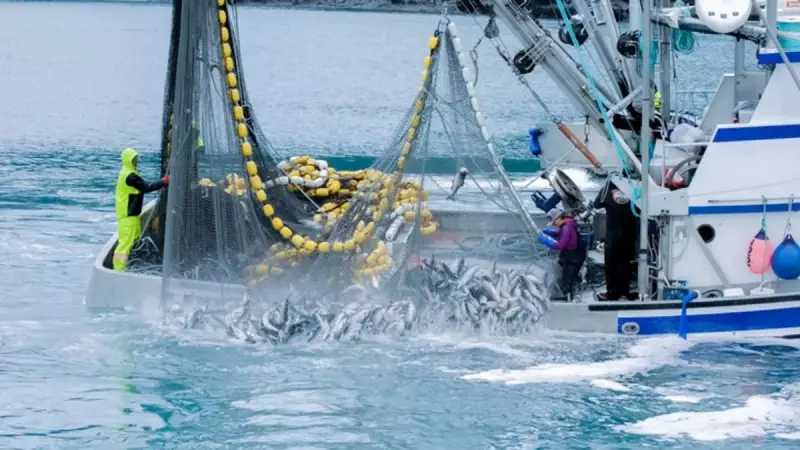 Kılçıksız Balıklar Listesi: Hangi Balıklar Rahatça Yenir? İşte Kılçık Derdine Son!